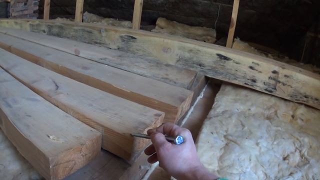 влог : ЧТО ЗА ЗВЕРЬ ХОДИТ НА НАШЕМ УЧАСТКЕ купили старый дом в деревне смотреть онлайн