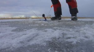 Зимняя рыбалка. Ловля щуки на жерлицы на Ладоге