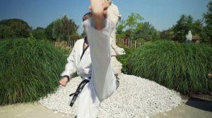 Taekwondo: Insane Skills, extreme Taekwondo Kicks