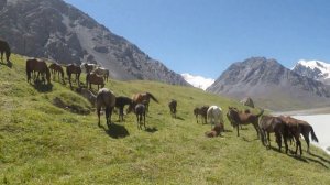 Киргизия, Северный Тянь-Шань, 2022.