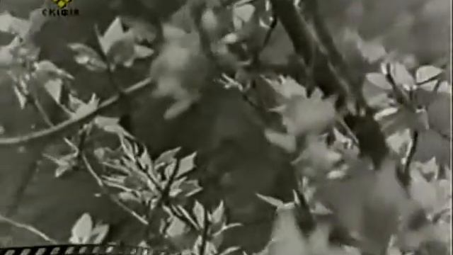 Херсонский Хронограф 1975 2 13 марта 1944 года Херсон был освобожден смотреть онлайн