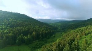 Почему ФИННО-УГРОВ мало, а РУССКИХ много???