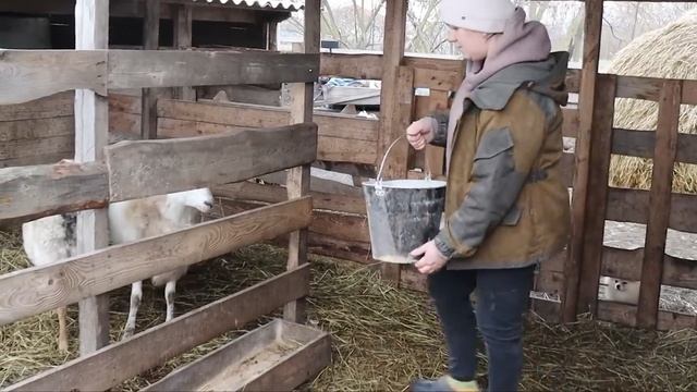 Фермерская тележка лучший помошник для многодетной мамы