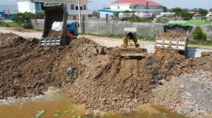 Update Process!! Excellent Techniques Skills Operator Bulldozer Pushing Dirt with Truck loading Dir