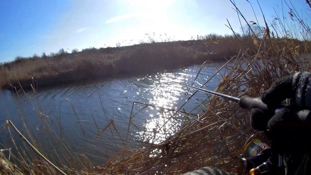 Жор щуки в феврале! Рыбалка со спиннингом на малых реках. смотреть онлайн