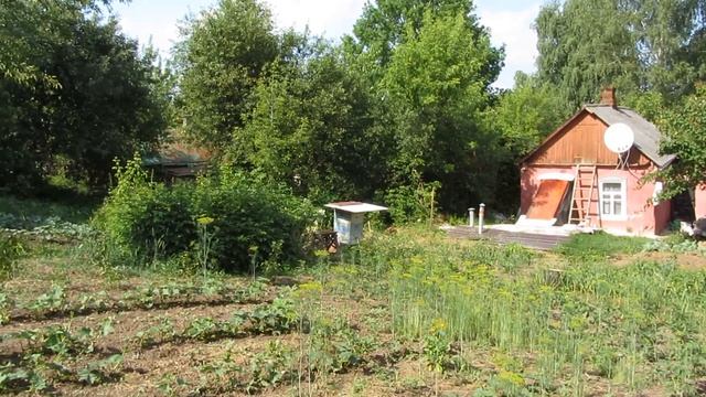 Харьков, Харьковская область, как правильно выбрать продавца, критерии выбора товара.
