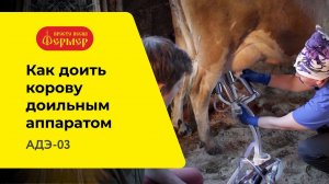 Как доить корову доильным аппаратом. Дойка коровы с помощью АДЭ-03 ФЕРМЕР
