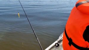 Рыбалка на Волге. Вода цветет-рыбу не нашли.mp4