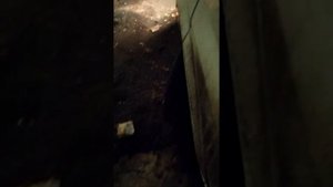 Форд транзит,хруст при повороте руля,при движении
