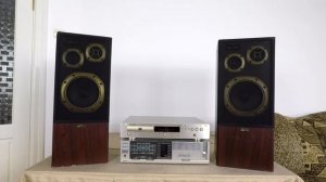 Колонки Acoustic Solutions Profile 300 (England)