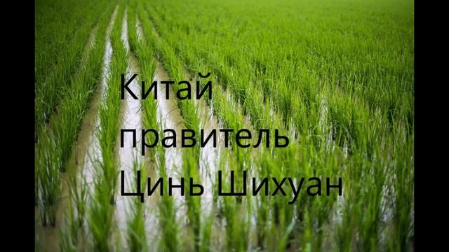 история тренинг 5 класс смотреть онлайн