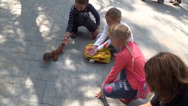 В Парк Горького все идут с орехами -кормить белочек смотреть онлайн
