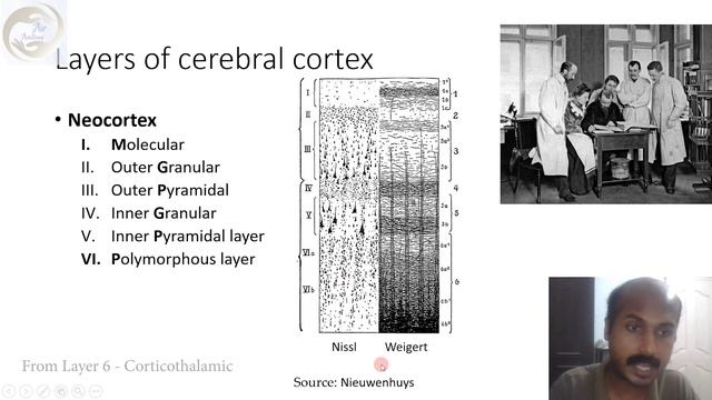 Cerebral cortex | Air Anatomy смотреть онлайн
