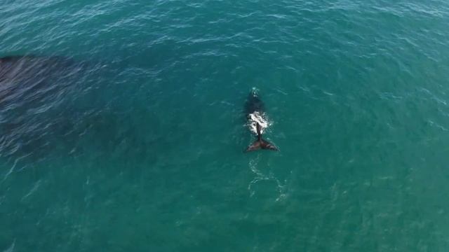 Ханг Расслабляющий барабанный микс. Hang Relaxing Drum Mix смотреть онлайн