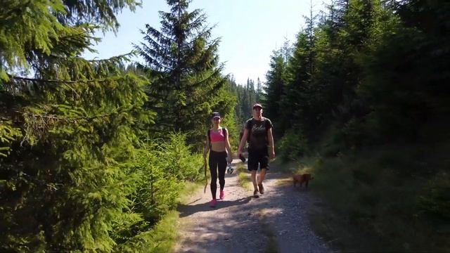 Карпаты на машине. Романтическое путешествие вдвоем. Горы, водопады, рафтинг! смотреть онлайн