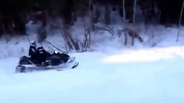 Légend 800 SDI 2004 montage смотреть онлайн