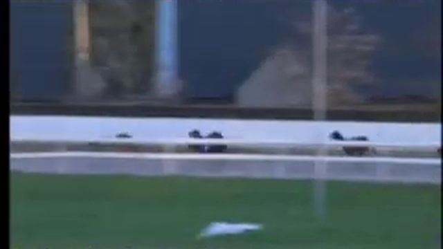 IGB - The Retired Greyhound Trust 07/02/2019 Race 2 - Waterford смотреть онлайн