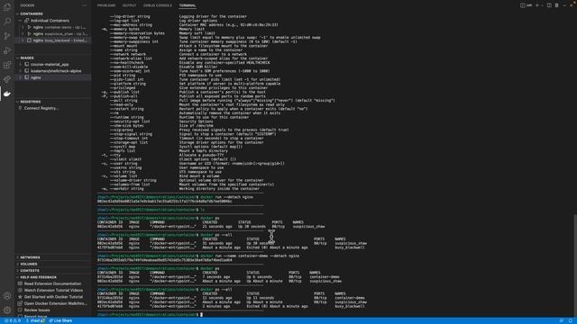 EE491F: Data Driven Web Development: Container: Docker смотреть онлайн