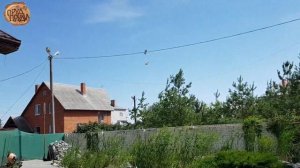 Биоплато для пруда//Тростник прокалывает пленку в пруду?