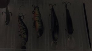 Коробка для воблеров двухсторонняя ERAFISHING 18 ячеек.