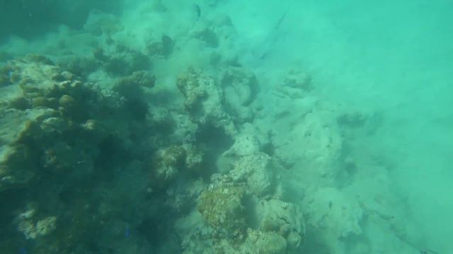 Под водой вдоль побережья Индийского океана #relaxation #meditation #релакс #ocean #медитация смотреть онлайн