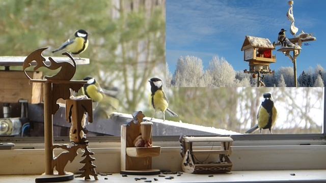 Домашние синицы( дикие куры)? смотреть онлайн