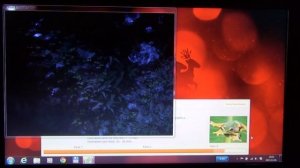 Acer Aspire V5 131 (10074G50Nss) overview + Boot time with SSD + PCMark 8 Benchmark