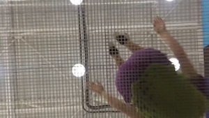 ШОК НА БАТУТЕ!))ОН СМОГ И ТЫ СМОЖЕШЬ!!!КРУТЫЕ ТРЮКИ НА БАТУТЕ!!!ПРЫЖКИ НА БАТУТЕ! САЛЬТО!!