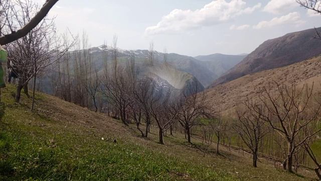 весна в горах