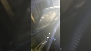 BMW E46 N42B20  Устранение течи антифриза. Течь антифриза БМВ BMW E46 N42B20