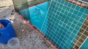 Запустили осетров в самодельный бассейн !
