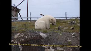 Посёлок Северный - главное управление северной площадки ядерного полигона Новой Земли.☢️☣️