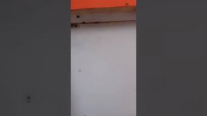 Дом для зимней рыбалки. Рыбалка на леща, судака, щуку.
