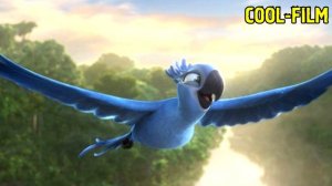 РИО 3 - ЛЮБОВНЫЙ ТРЕУГОЛЬНИК - ГОЛУБЧИК, ЖЕМЧУЖИНКА и РОБЕРТО