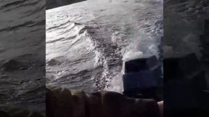 Sea pro 9.9t sea pro 9.8 или копия ямахи 8