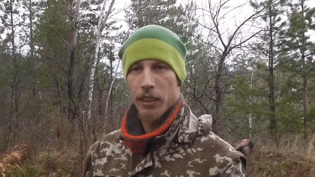 Лесными тропами правобережья