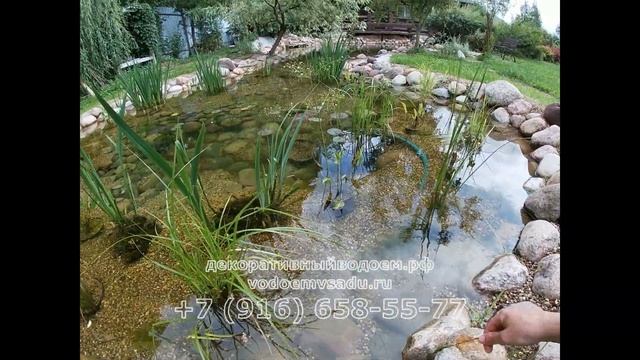 Водоем, очистка от водорослей смотреть онлайн