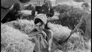 Шэпт Срэбра - Аграрнае танга