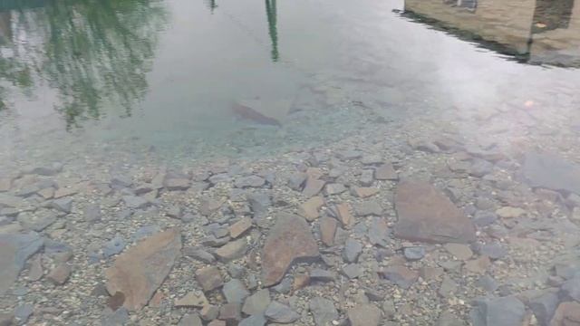 Реконструкция старого пруда.. смотреть онлайн