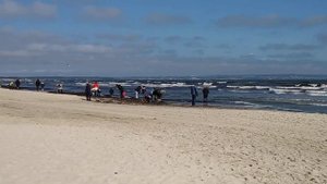 Янтарная лихорадка или Развлечение для туристов: поиск янтаря в море