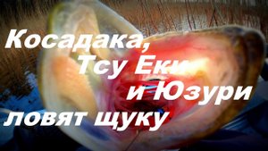 Косадака, Юзури и Тсу Еки ловят щуку