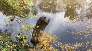 30 октября 2022. село Дальнее. Крым.mp4