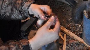 Как правильно снять шкуру с белки. Охота на белку