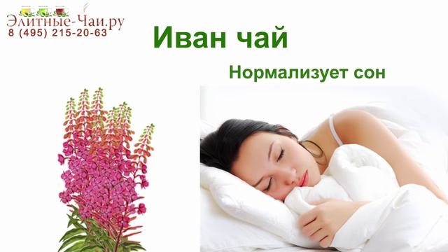 ☕►Иван-чай - Полезные свойства | Как выбрать качественный?