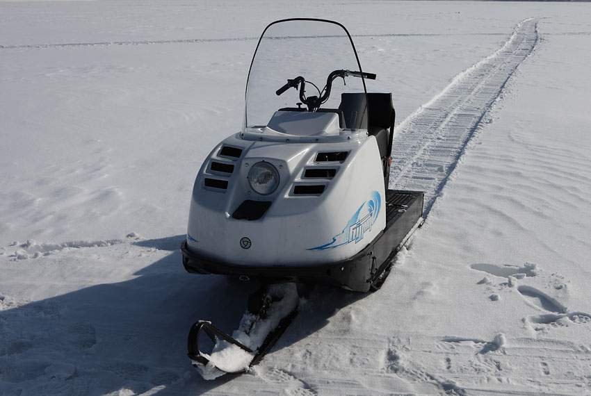 ПОВЁЗ СОЛЬ ЛОСЯМ И ЗАЙЦАМ смотреть онлайн