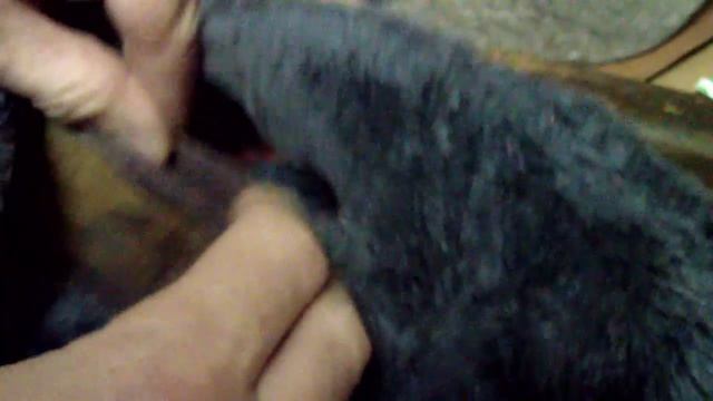 Ремонт супинатора своими руками смотреть онлайн