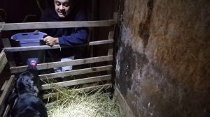 ОТВЕЧУ НА ПАРУ ВАШИХ ВОПРОСОВ