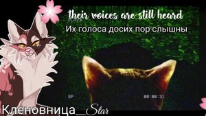 #25 Утерянные файлы /Звездоцап #2/ коты воители