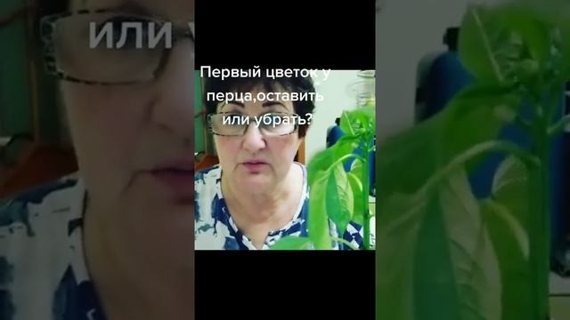 Удаление коронного цветка у перца