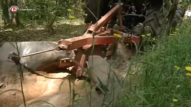 Тамбовский лес охраняют с 45-метровой вышки смотреть онлайн